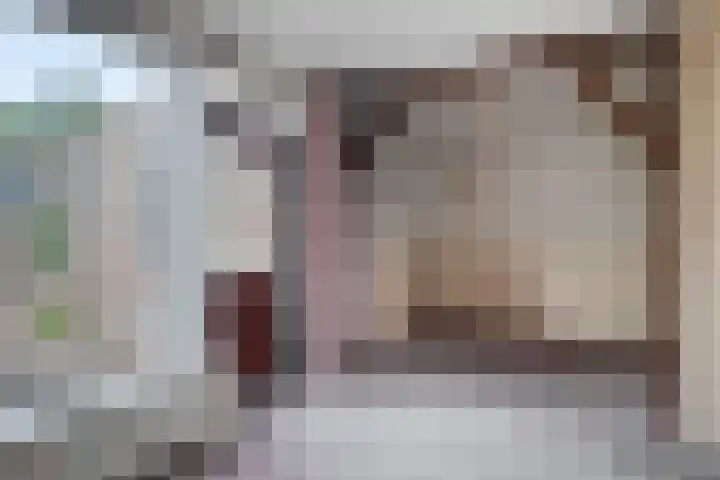 de Kade 37 Wapenveld thumbnail 6