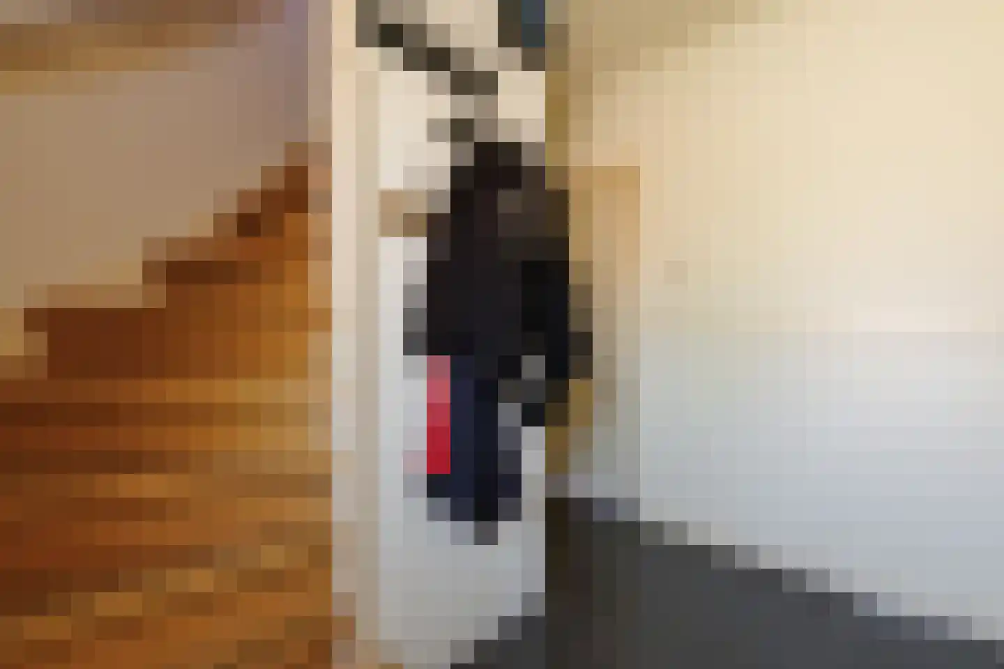 De Kaempe 18 Rijssen thumbnail 26