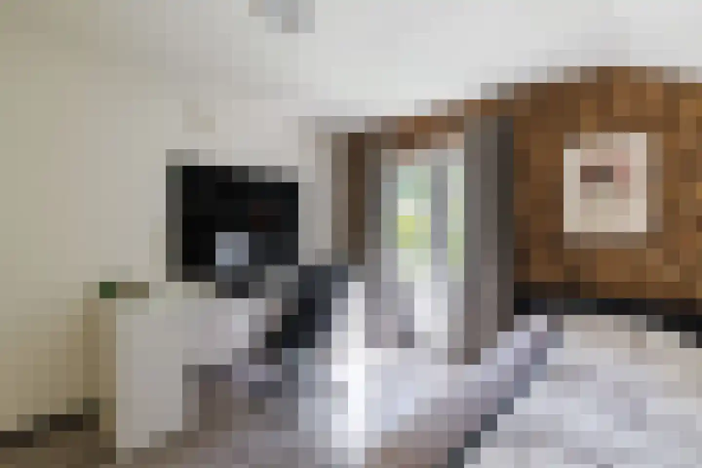 De Kaempe 18 Rijssen thumbnail 31