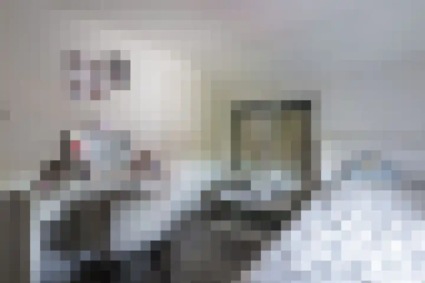 De Kaempe 18 Rijssen thumbnail 34