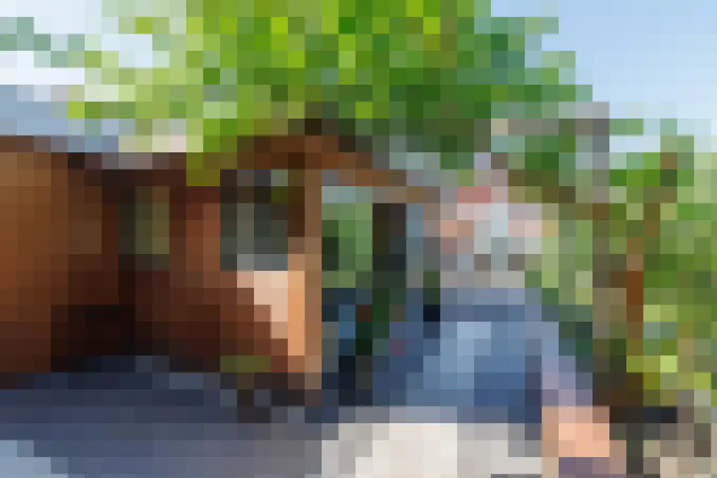 De Kaempe 18 Rijssen thumbnail 41