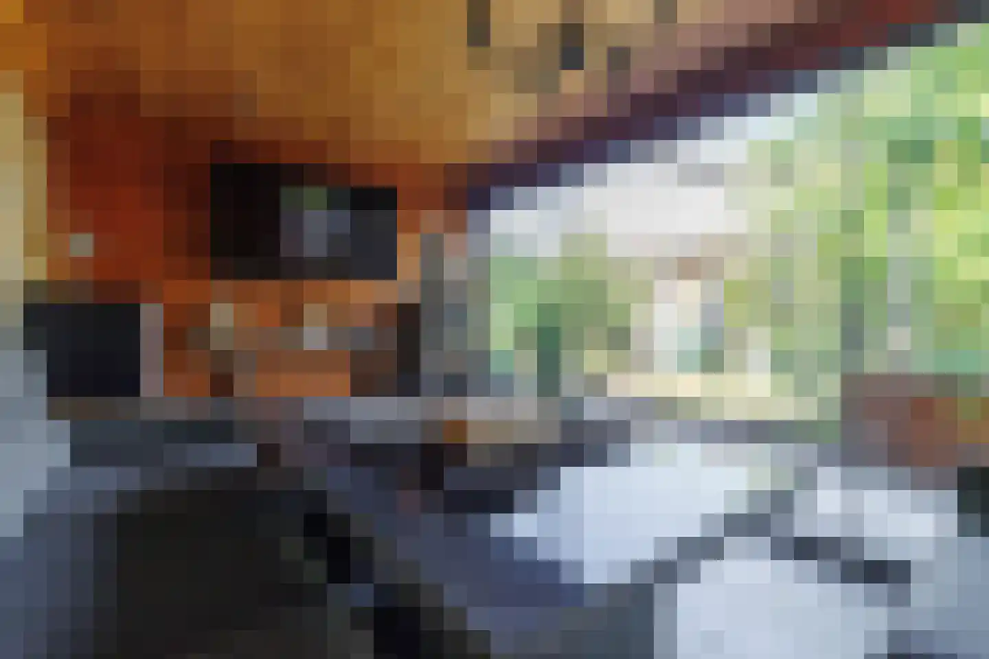 De Kaempe 18 Rijssen thumbnail 46