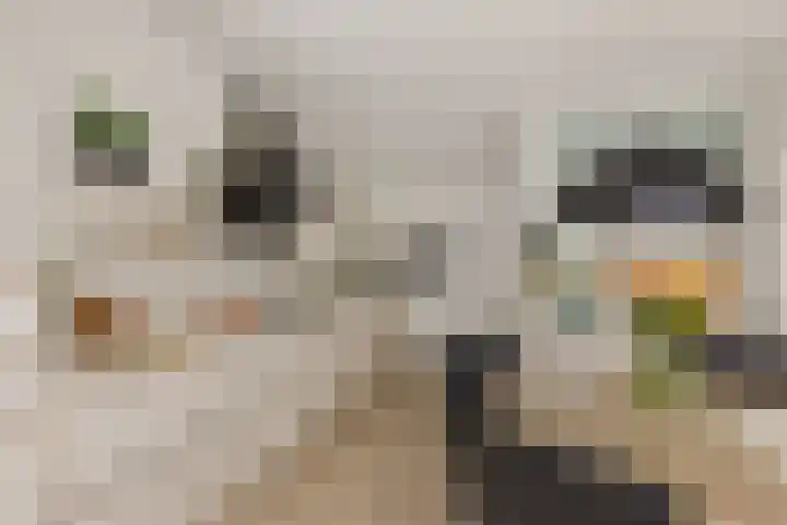 De Kalder 21 Oldenzaal thumbnail 14
