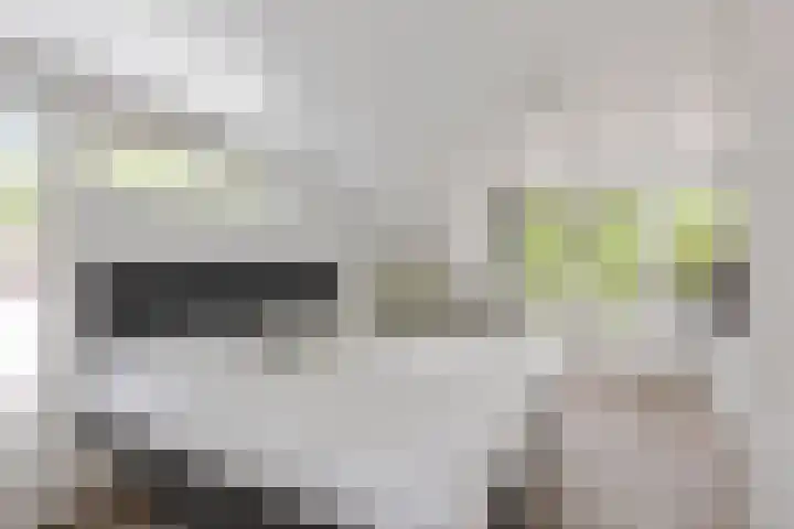 De Kalder 21 Oldenzaal thumbnail 18