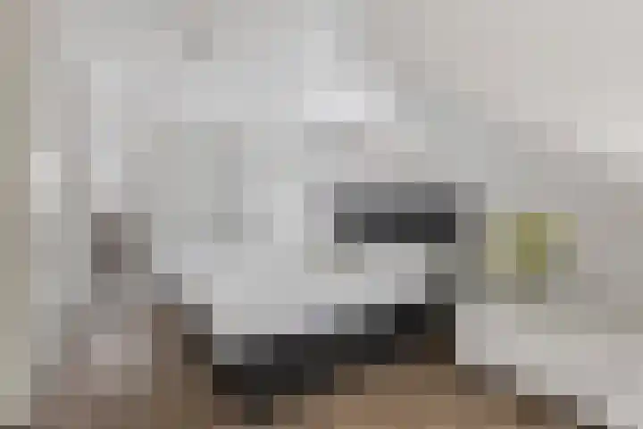 De Kalder 21 Oldenzaal thumbnail 19