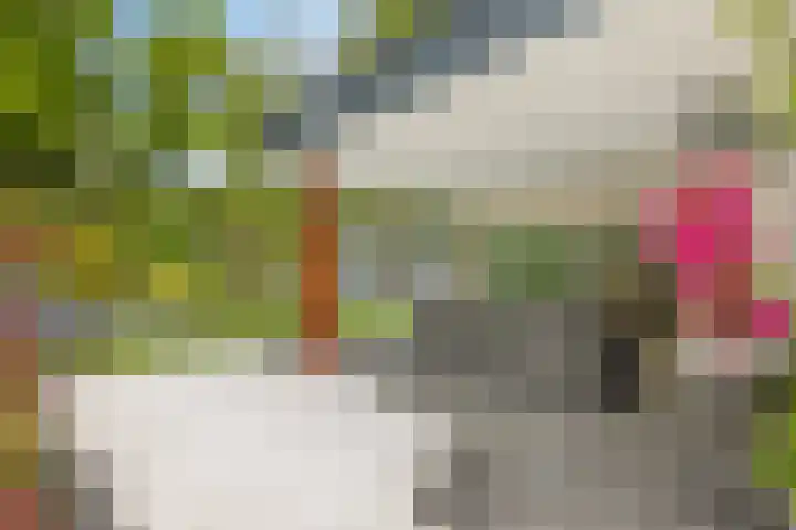 De Kalder 21 Oldenzaal thumbnail 26
