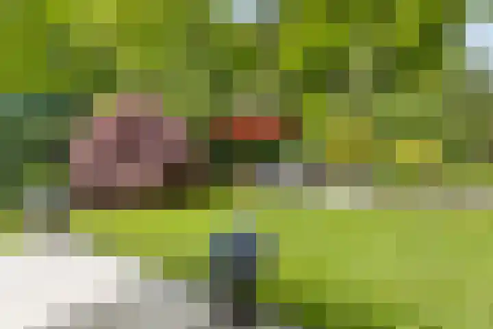 De Kalder 21 Oldenzaal thumbnail 27