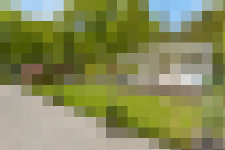 De Kalder 21 Oldenzaal thumbnail 28