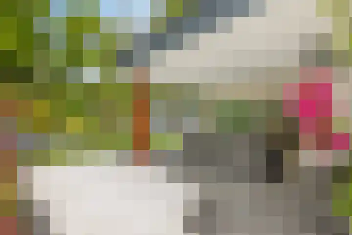 De Kalder 21 Oldenzaal thumbnail 4