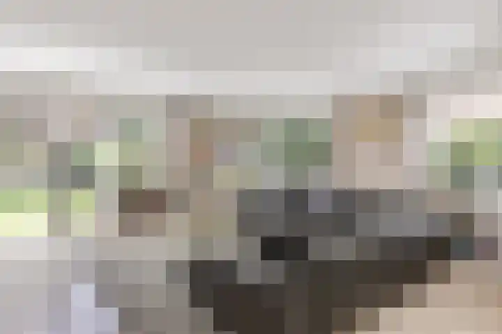 De Kalder 21 Oldenzaal thumbnail 7