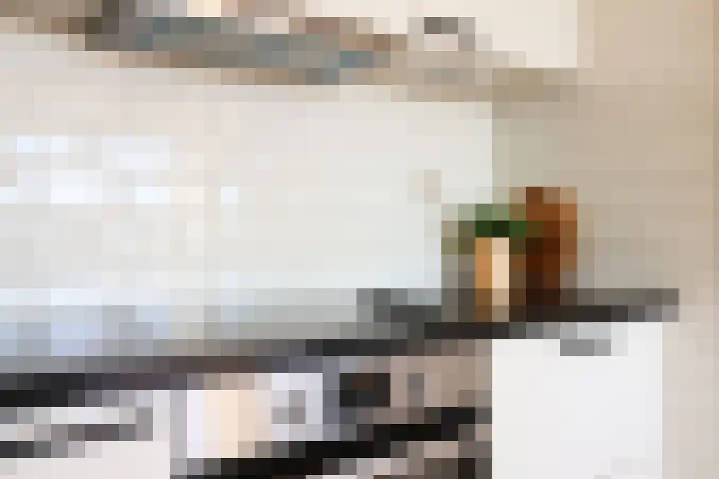 de Kalkovens 110 Sneek thumbnail 30