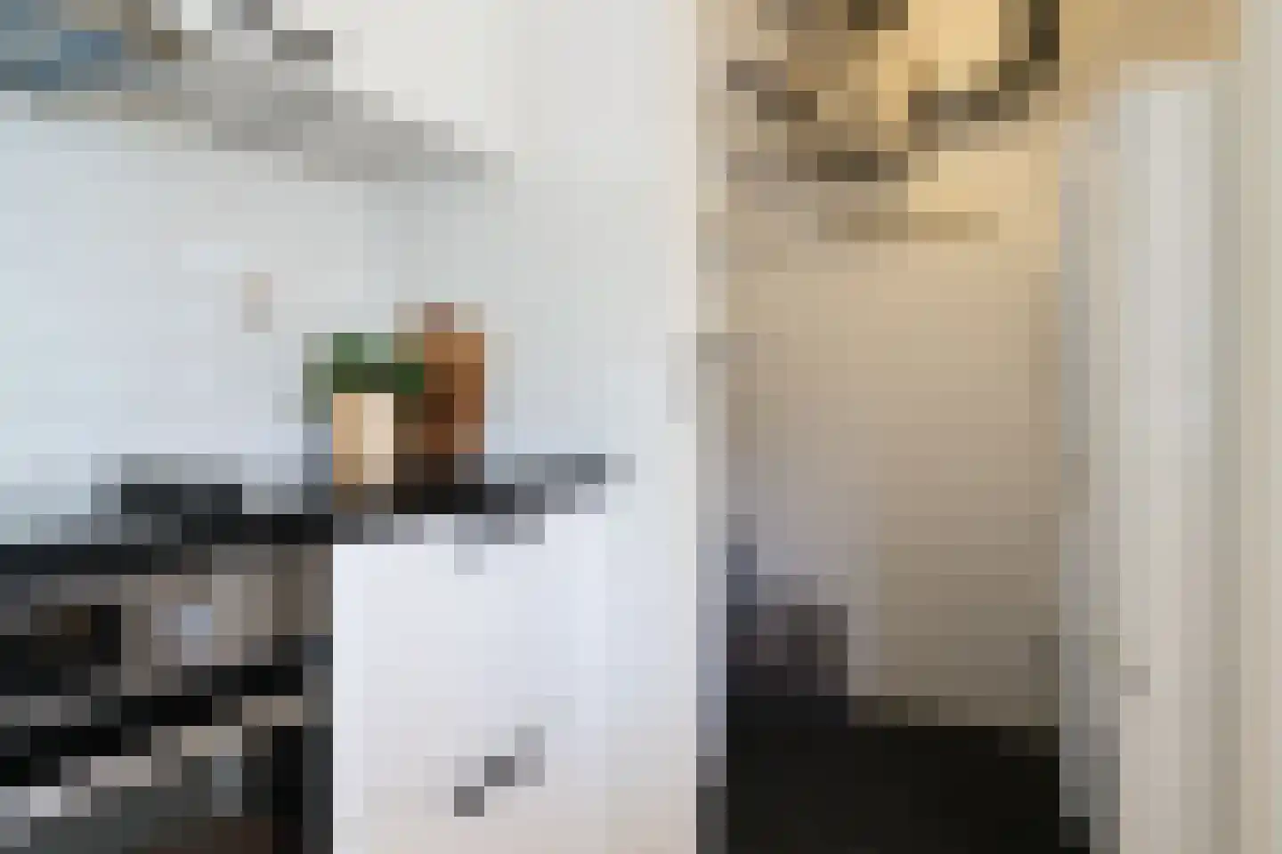 de Kalkovens 110 Sneek thumbnail 31