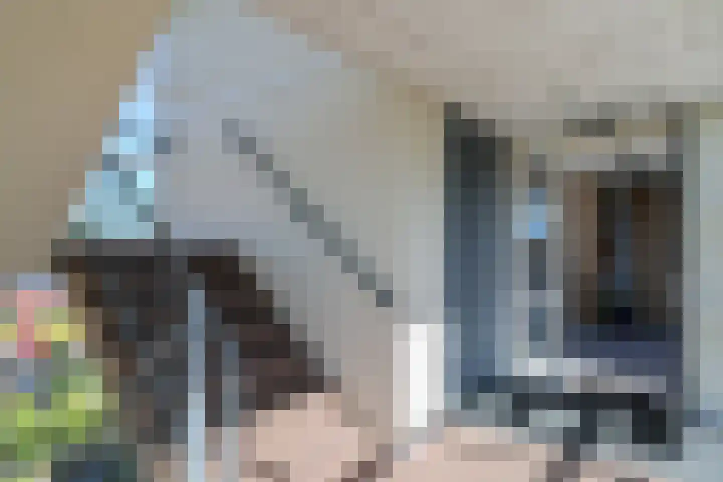 de Kalkovens 110 Sneek thumbnail 50