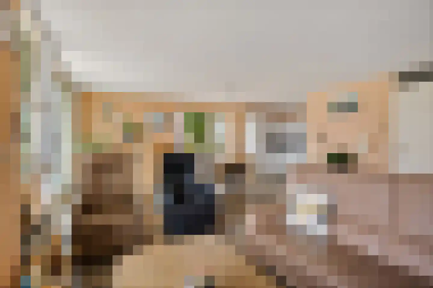 de Kalkovens 2 Sneek thumbnail 18