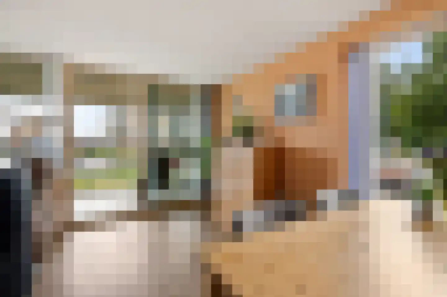 de Kalkovens 2 Sneek thumbnail 20
