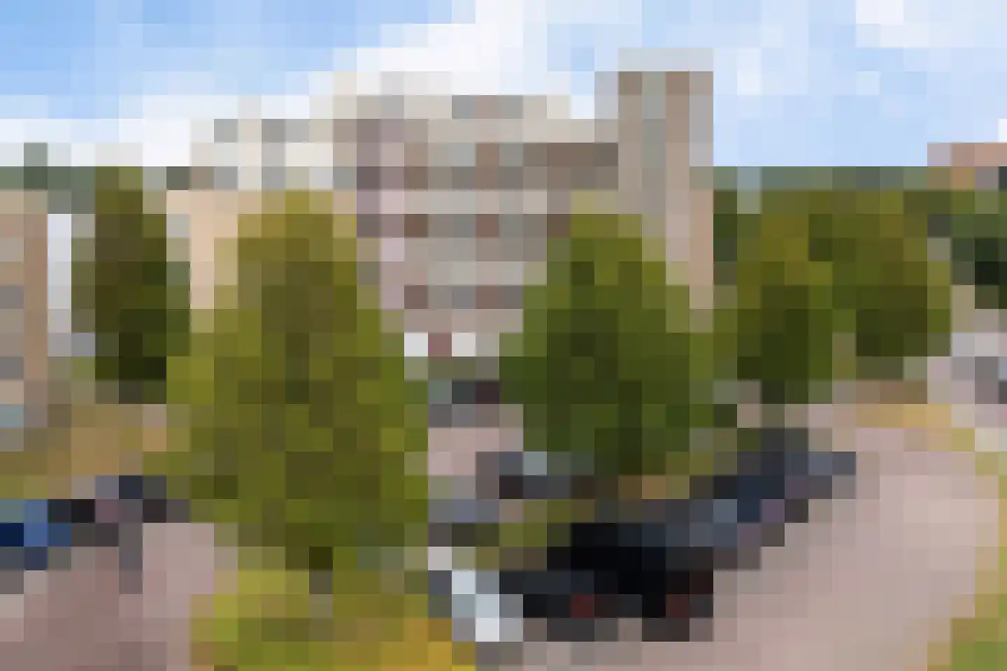 de Kalkovens 2 Sneek thumbnail 6