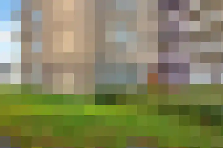 de Kalkovens 48 Sneek thumbnail 33