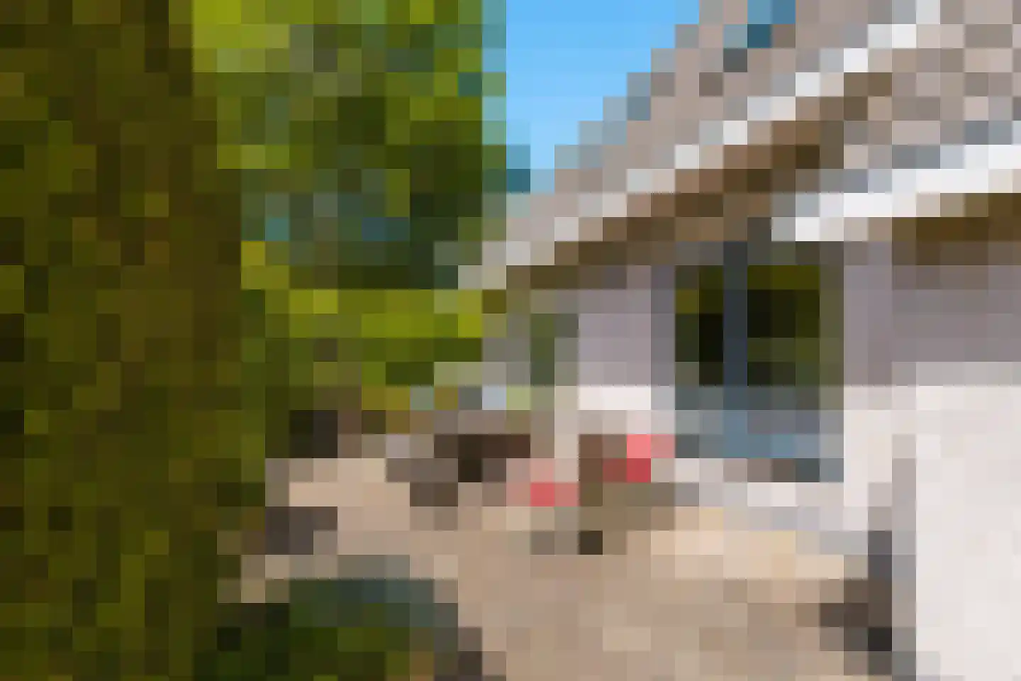 De Kalkovens 8 Gorredijk thumbnail 17