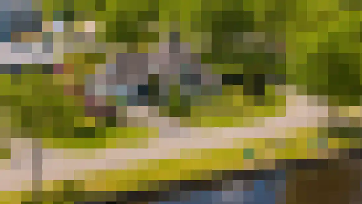 De Kalkovens 8 Gorredijk thumbnail 8