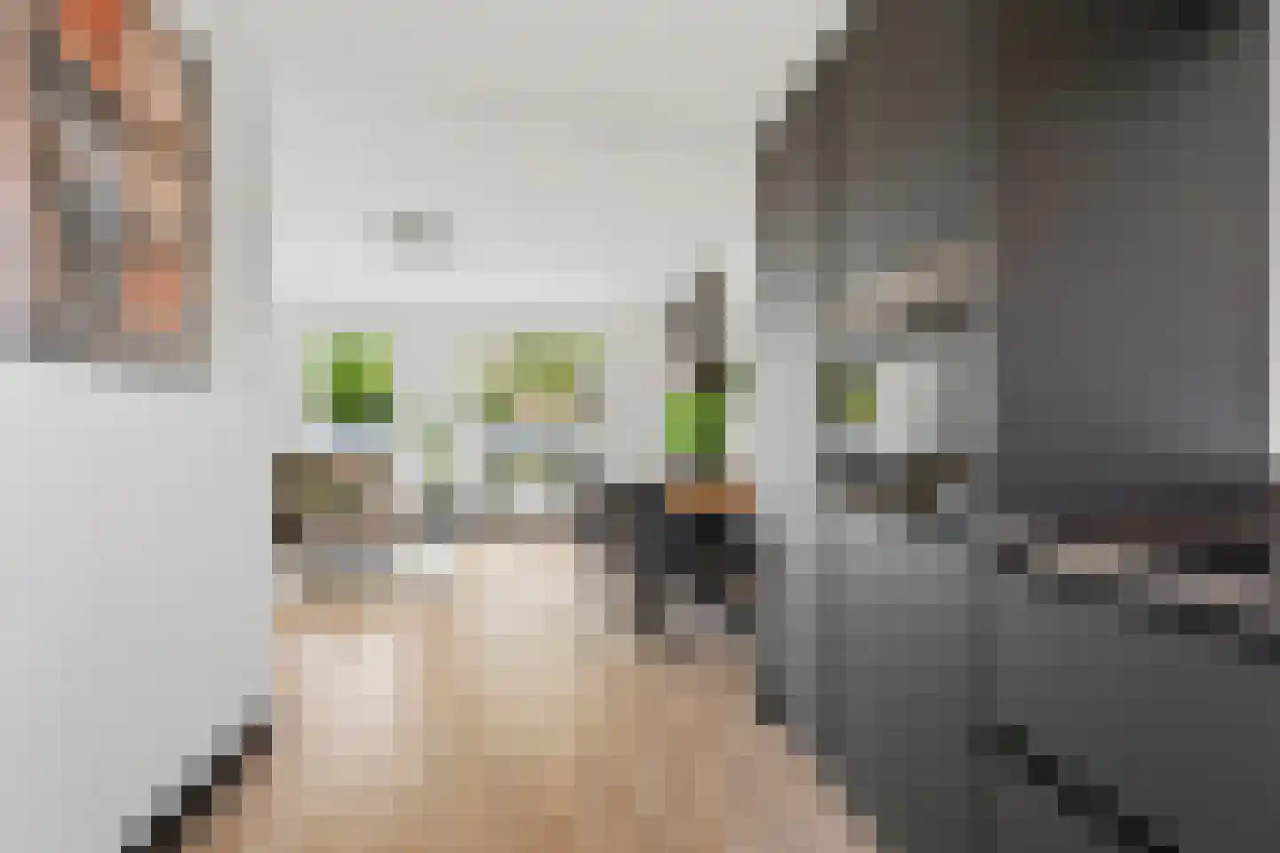 De Kamp 1 a Pannerden thumbnail 16