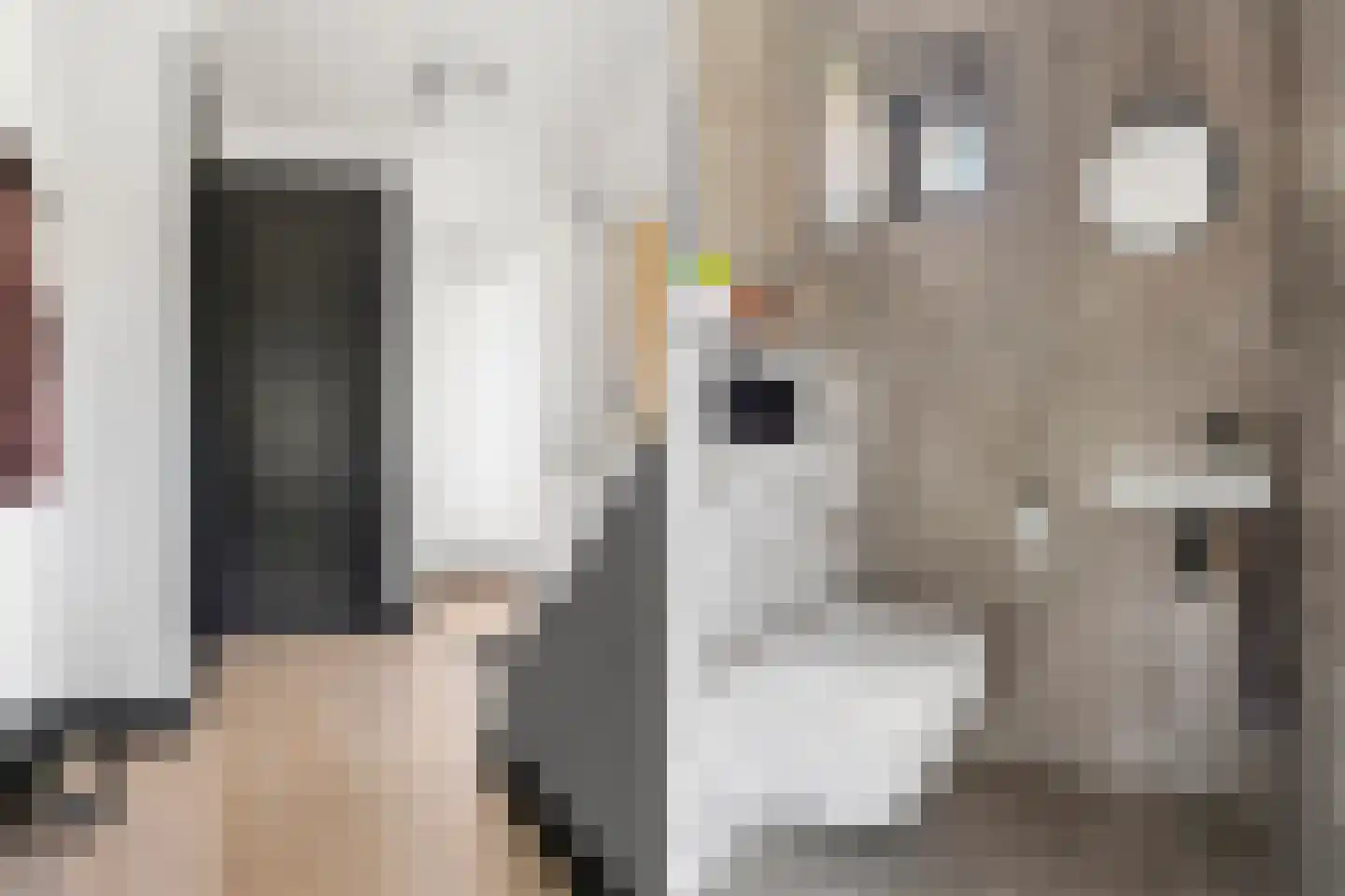 De Kamp 1 a Pannerden thumbnail 17