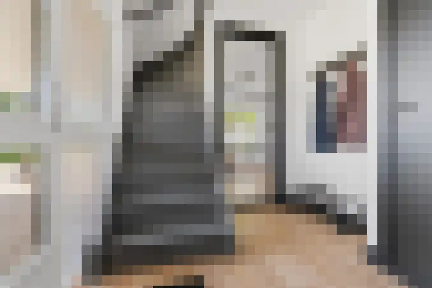 De Kamp 1 a Pannerden thumbnail 19