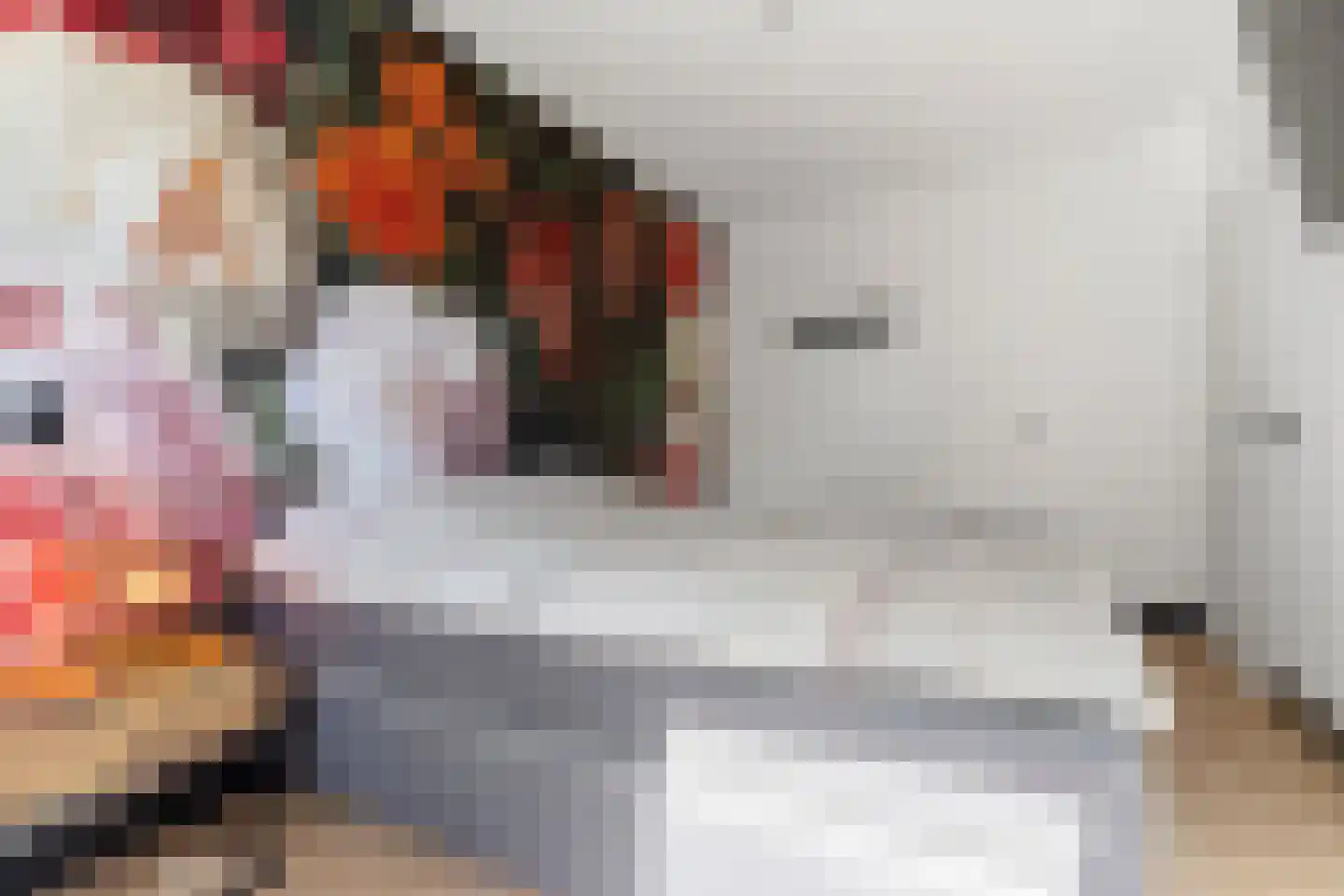 De Kamp 1 a Pannerden thumbnail 21