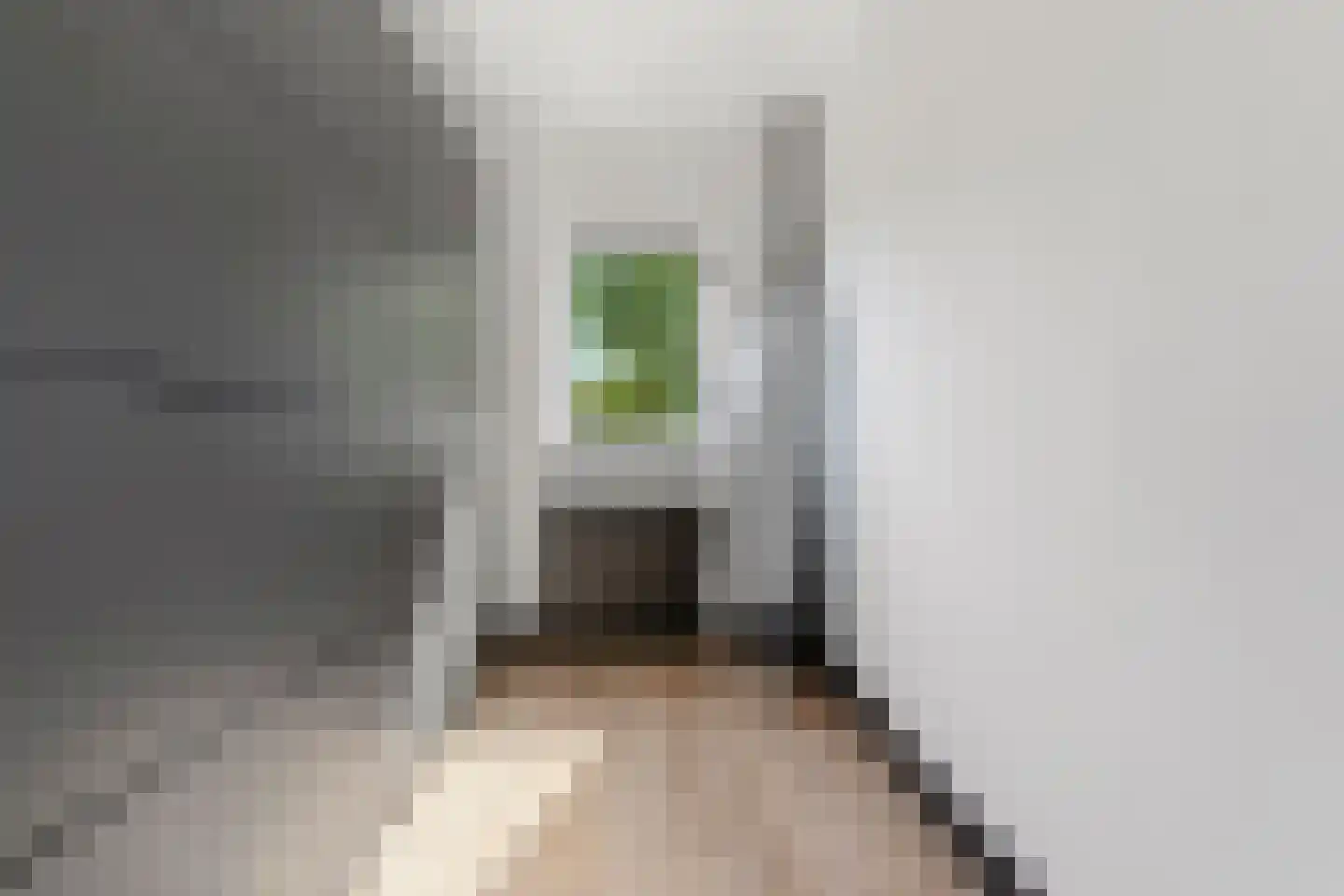 De Kamp 1 a Pannerden thumbnail 24
