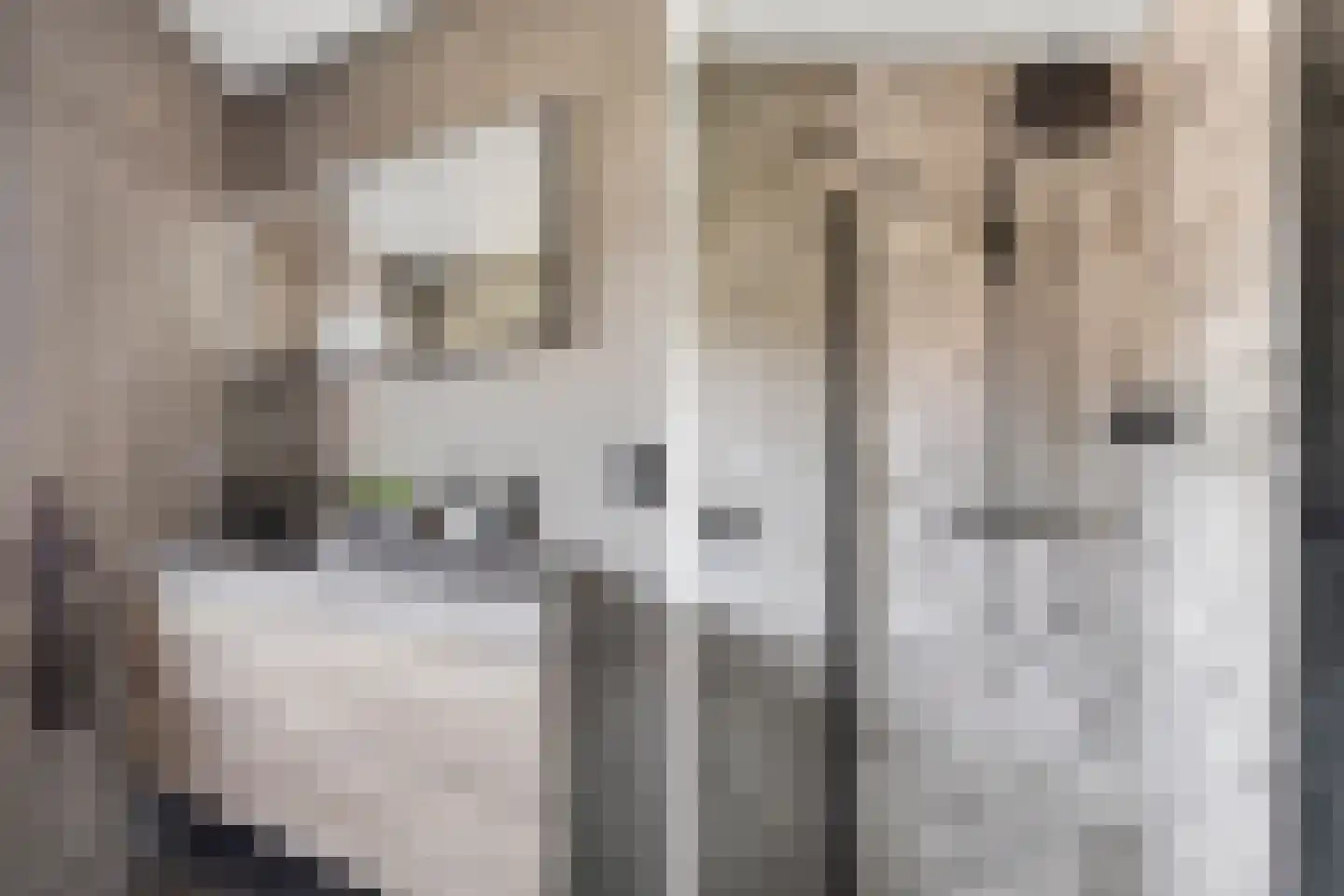 De Kamp 1 a Pannerden thumbnail 27