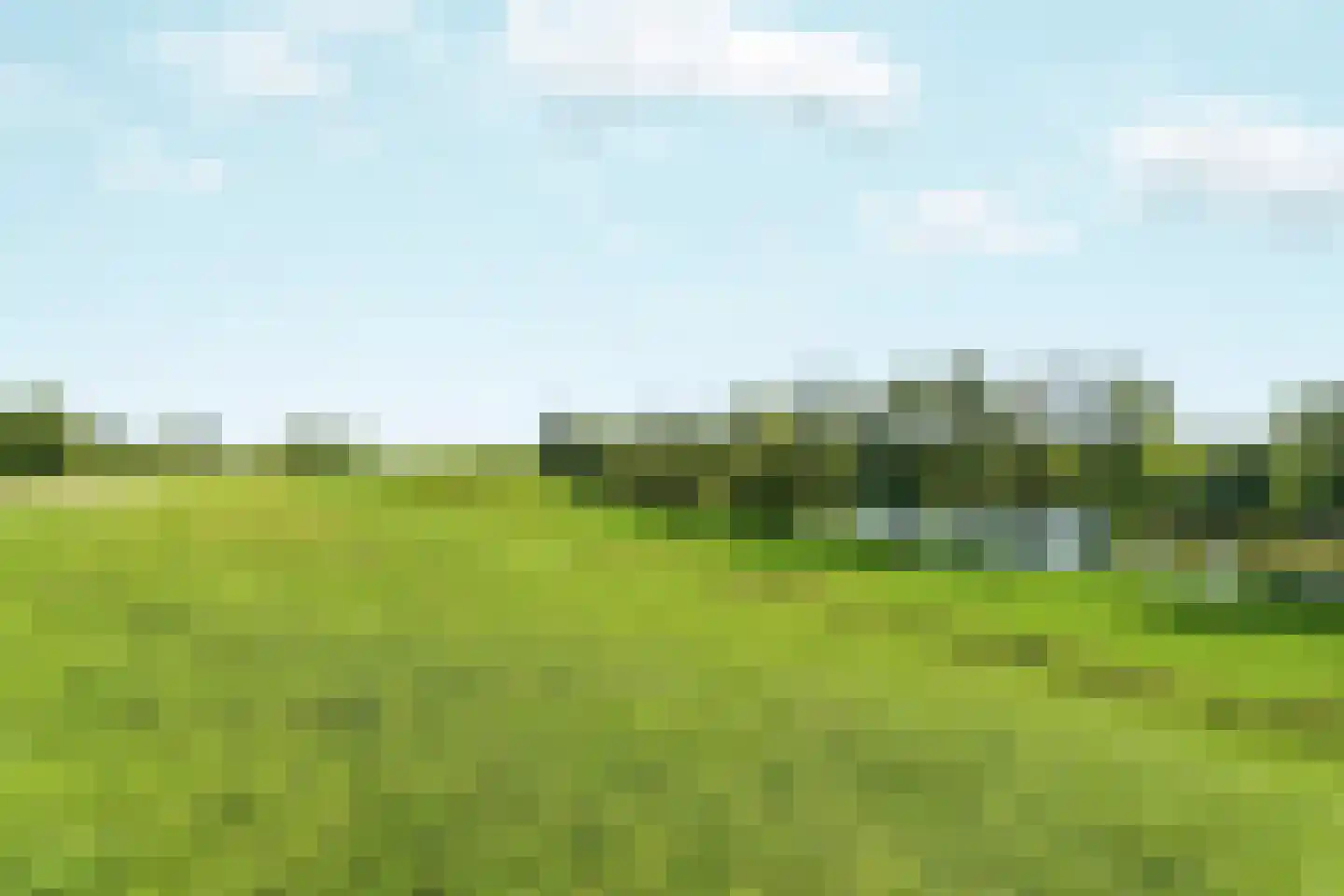 De Kamp 1 a Pannerden thumbnail 38