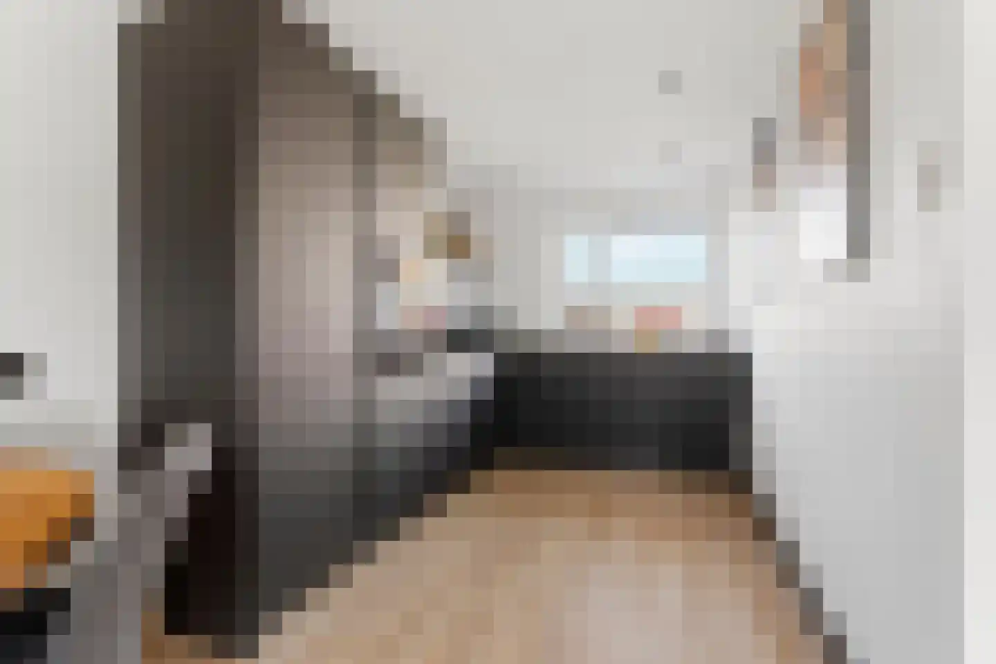 De Kamp 1 a Pannerden thumbnail 4