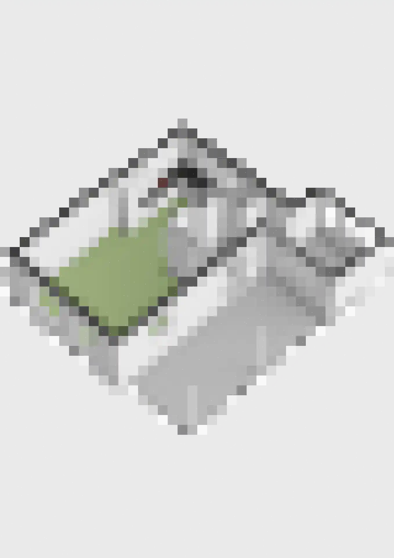De Kamp 1 a Pannerden thumbnail 41