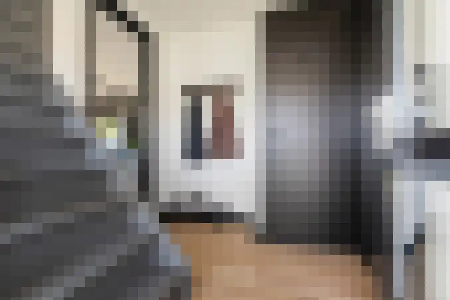 De Kamp 1 a Pannerden thumbnail 7