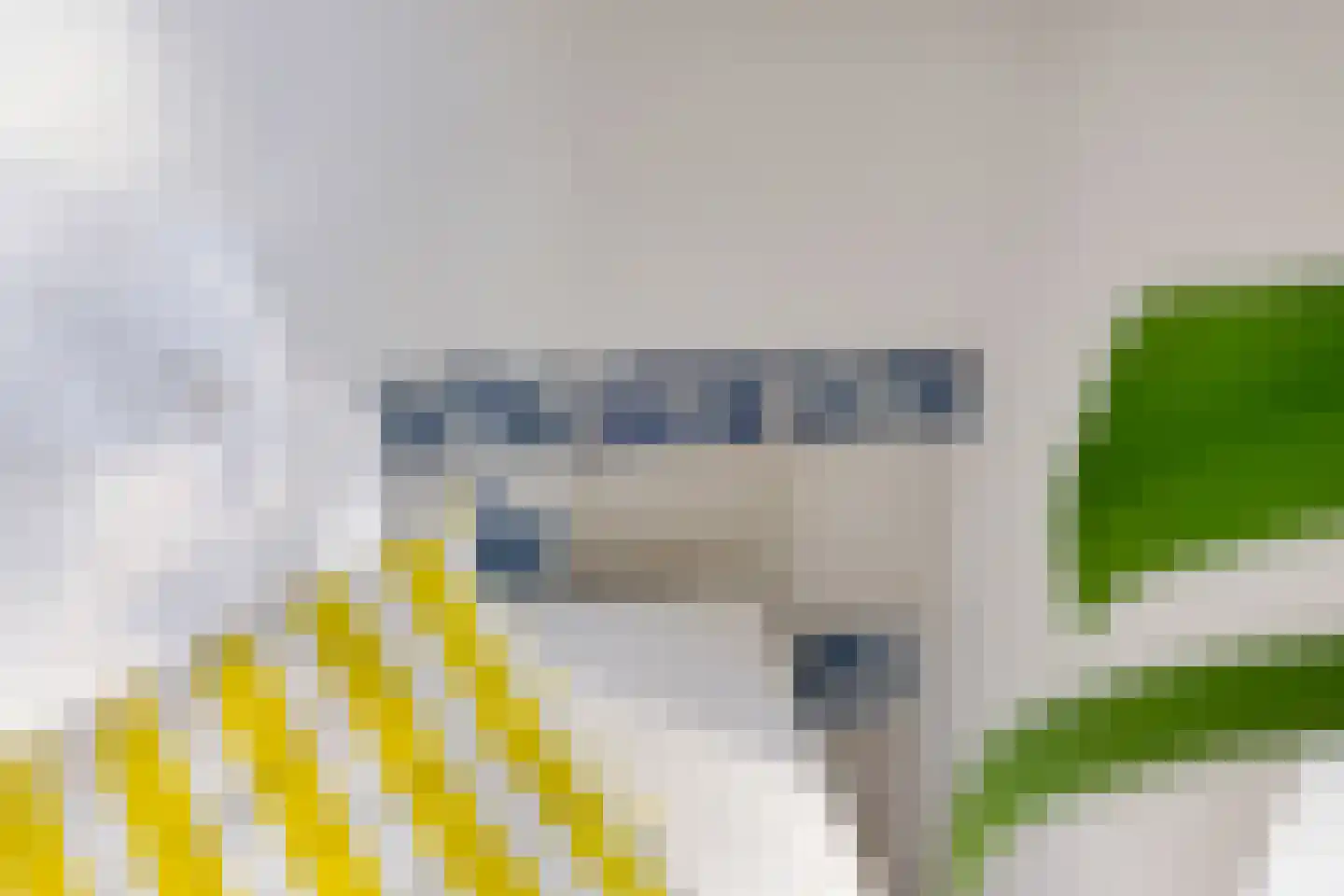 De Kamp 1 Woudsend thumbnail 12