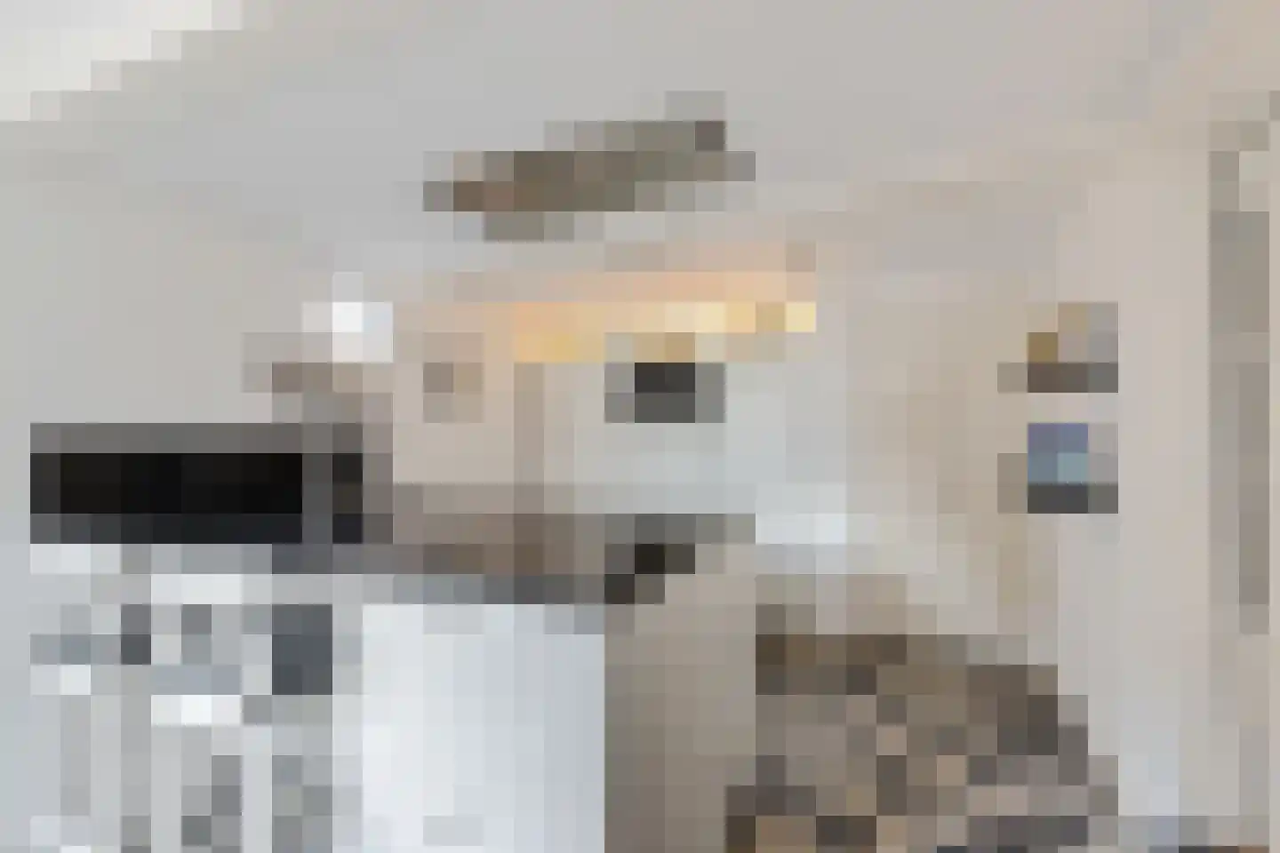 De Kamp 1 Woudsend thumbnail 13