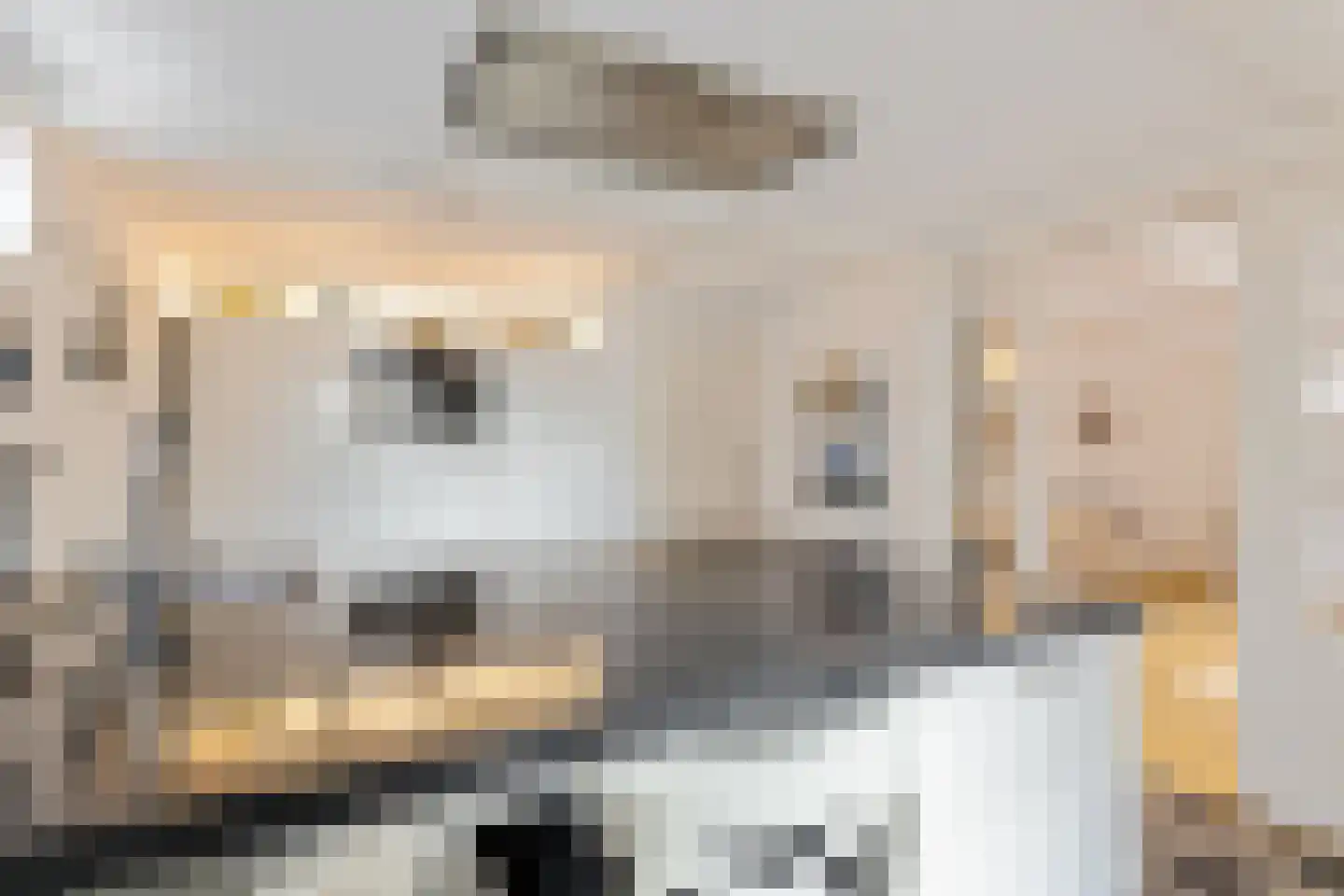 De Kamp 1 Woudsend thumbnail 14