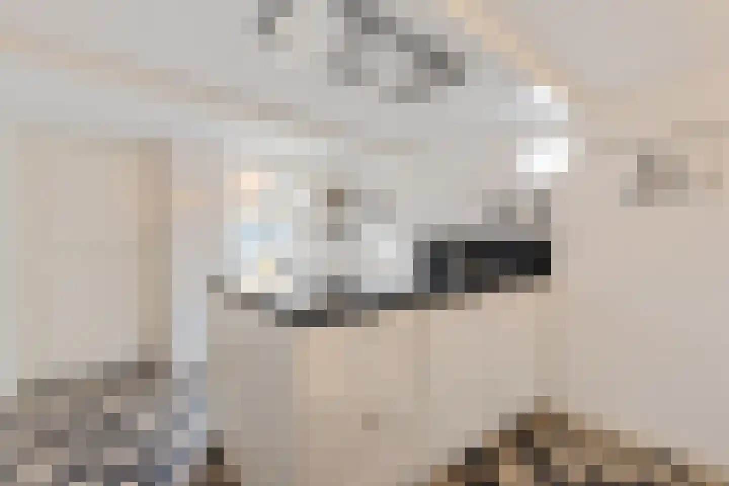 De Kamp 1 Woudsend thumbnail 15