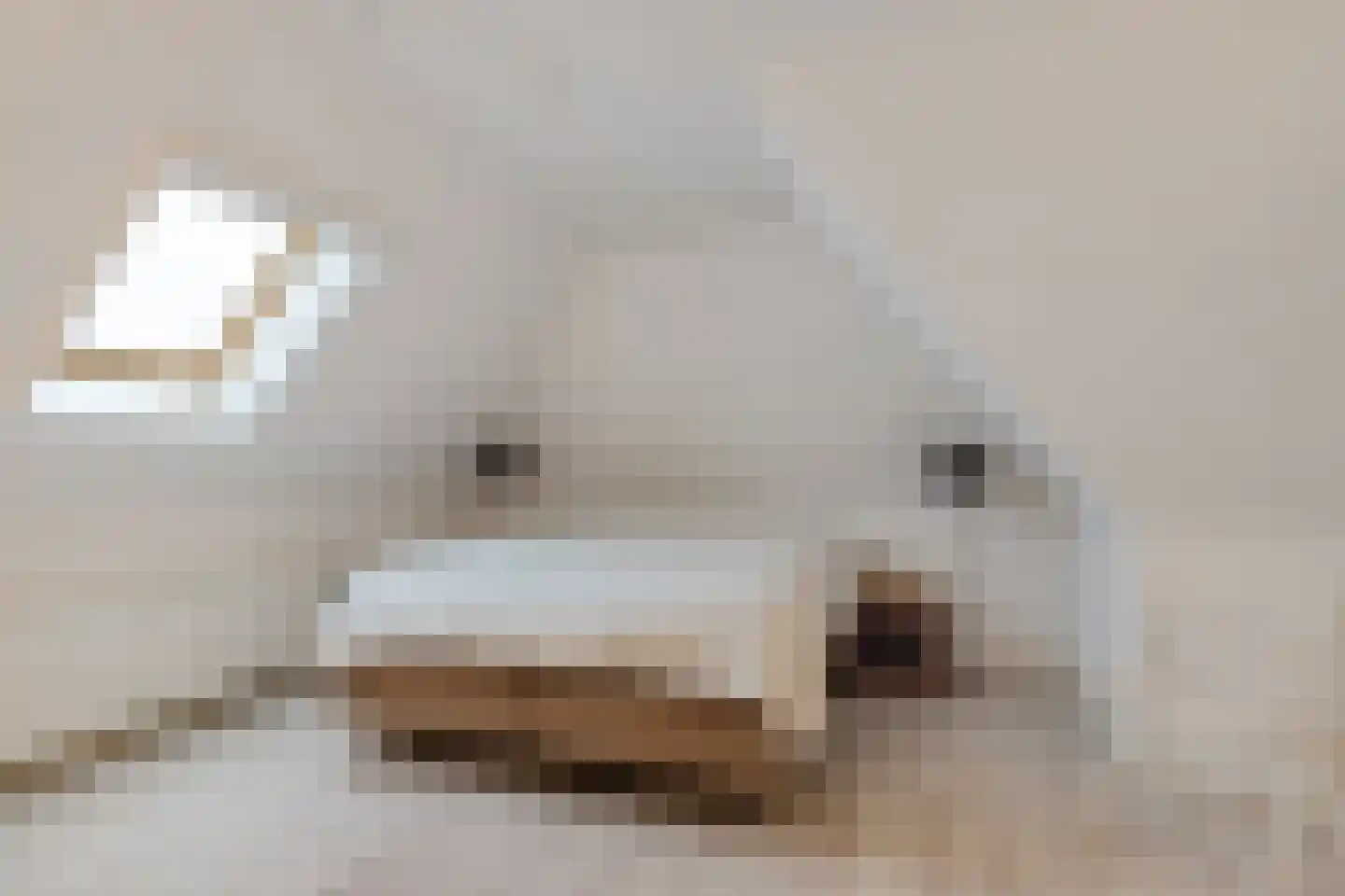 De Kamp 1 Woudsend thumbnail 22