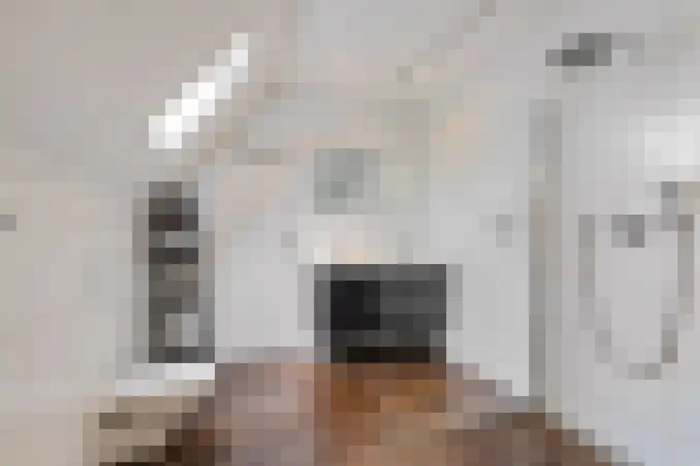 De Kamp 1 Woudsend thumbnail 27