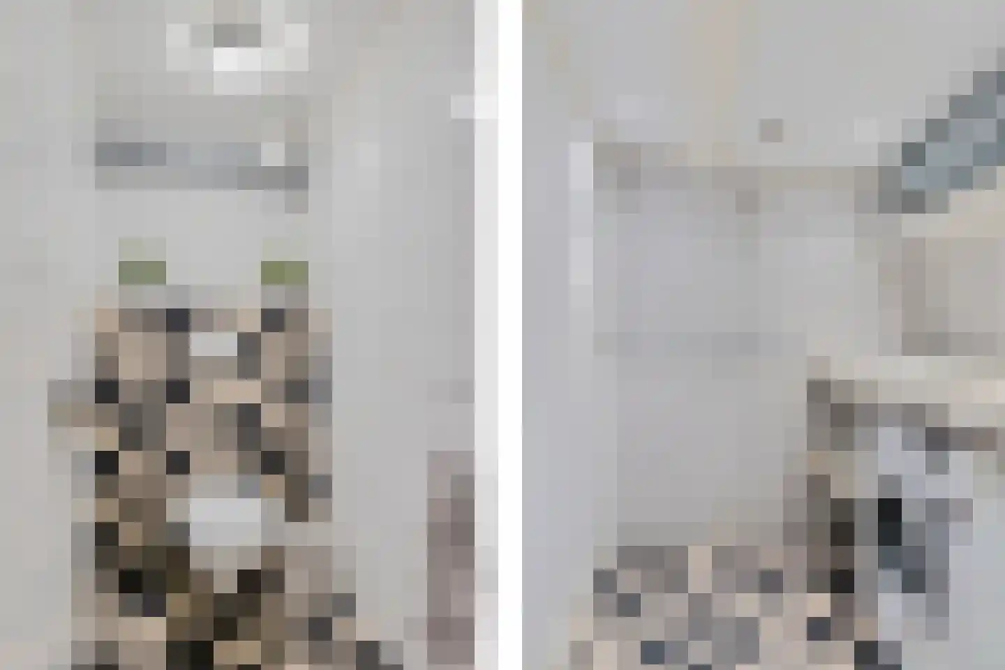 De Kamp 1 Woudsend thumbnail 6