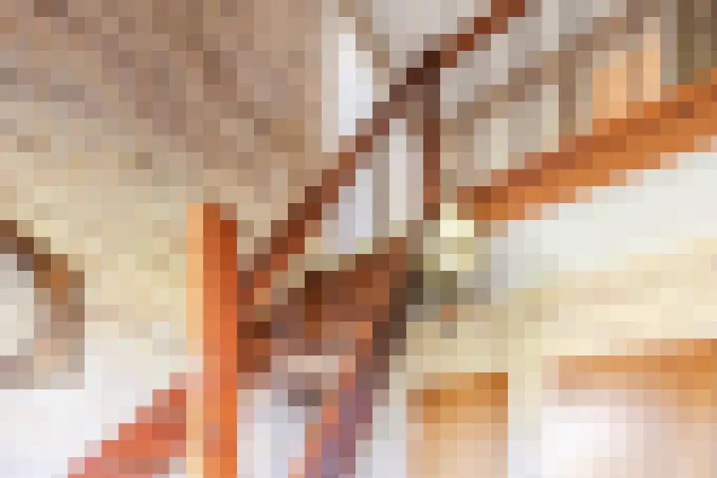 De Kamp 10 Tzummarum thumbnail 16