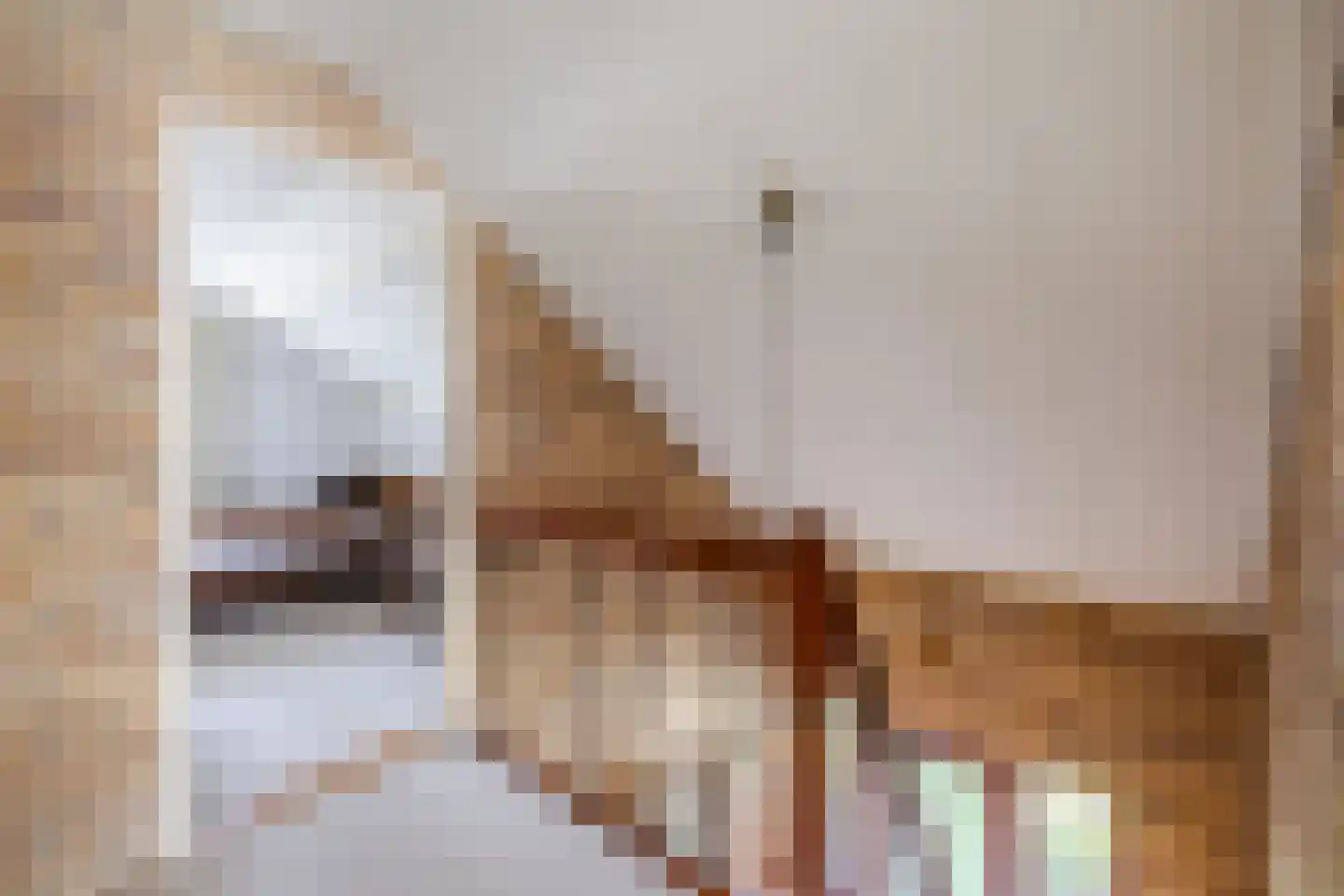 De Kamp 10 Tzummarum thumbnail 17