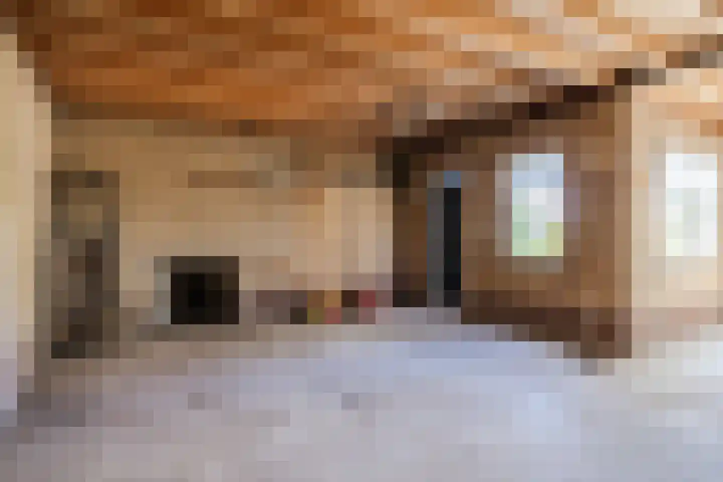 De Kamp 10 Tzummarum thumbnail 30