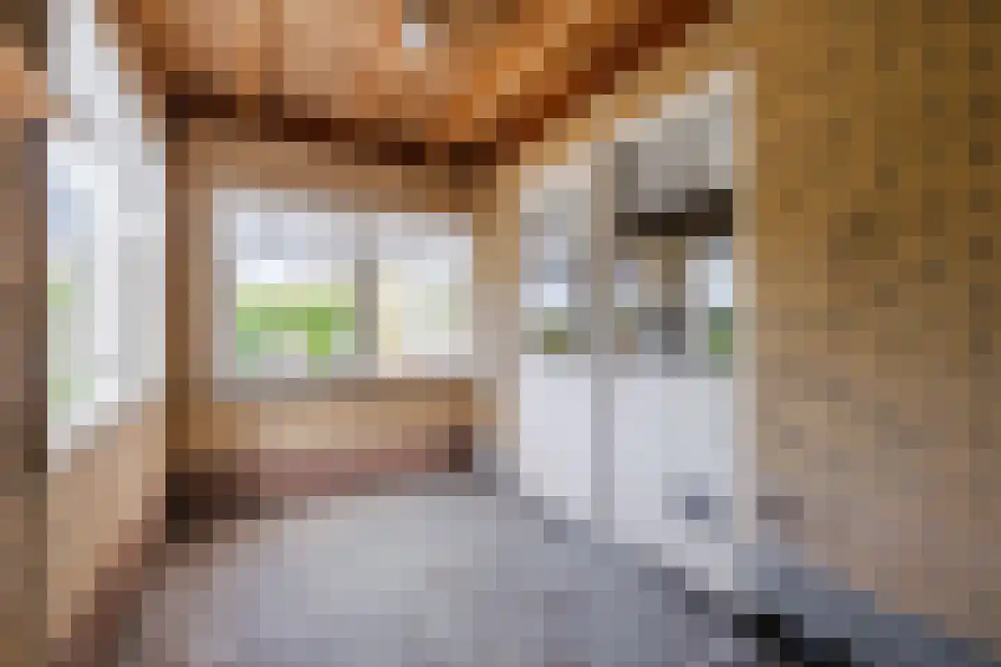 De Kamp 10 Tzummarum thumbnail 31