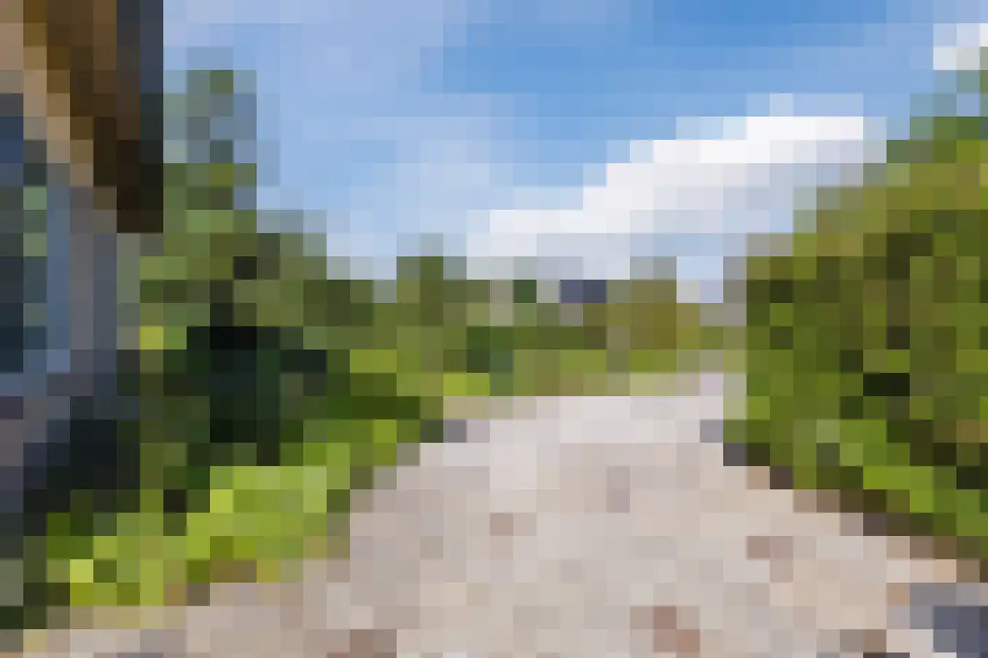 De Kamp 10 Tzummarum thumbnail 34