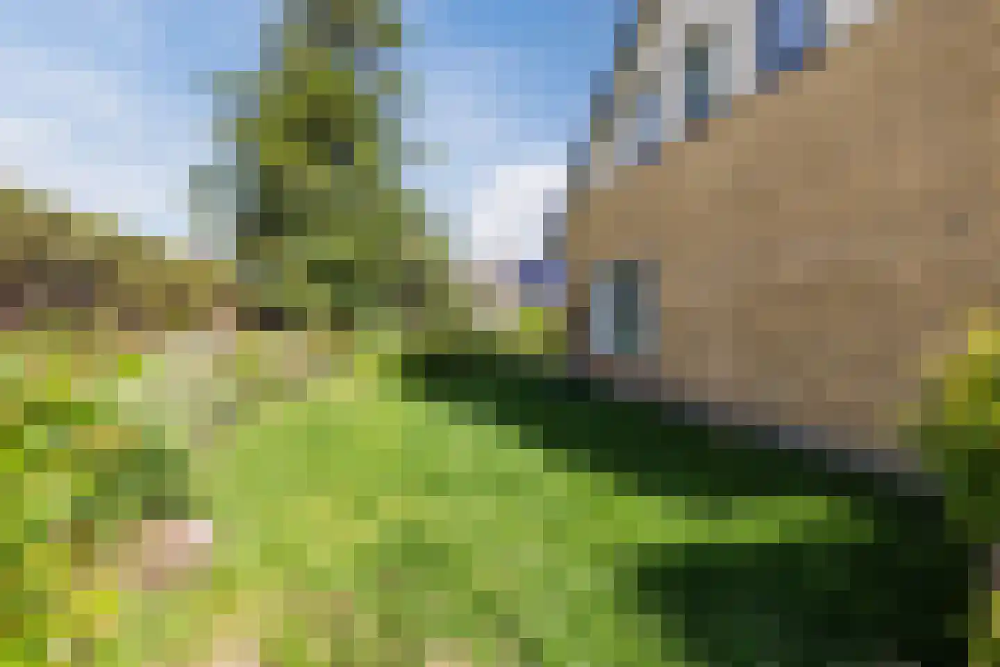 De Kamp 10 Tzummarum thumbnail 41