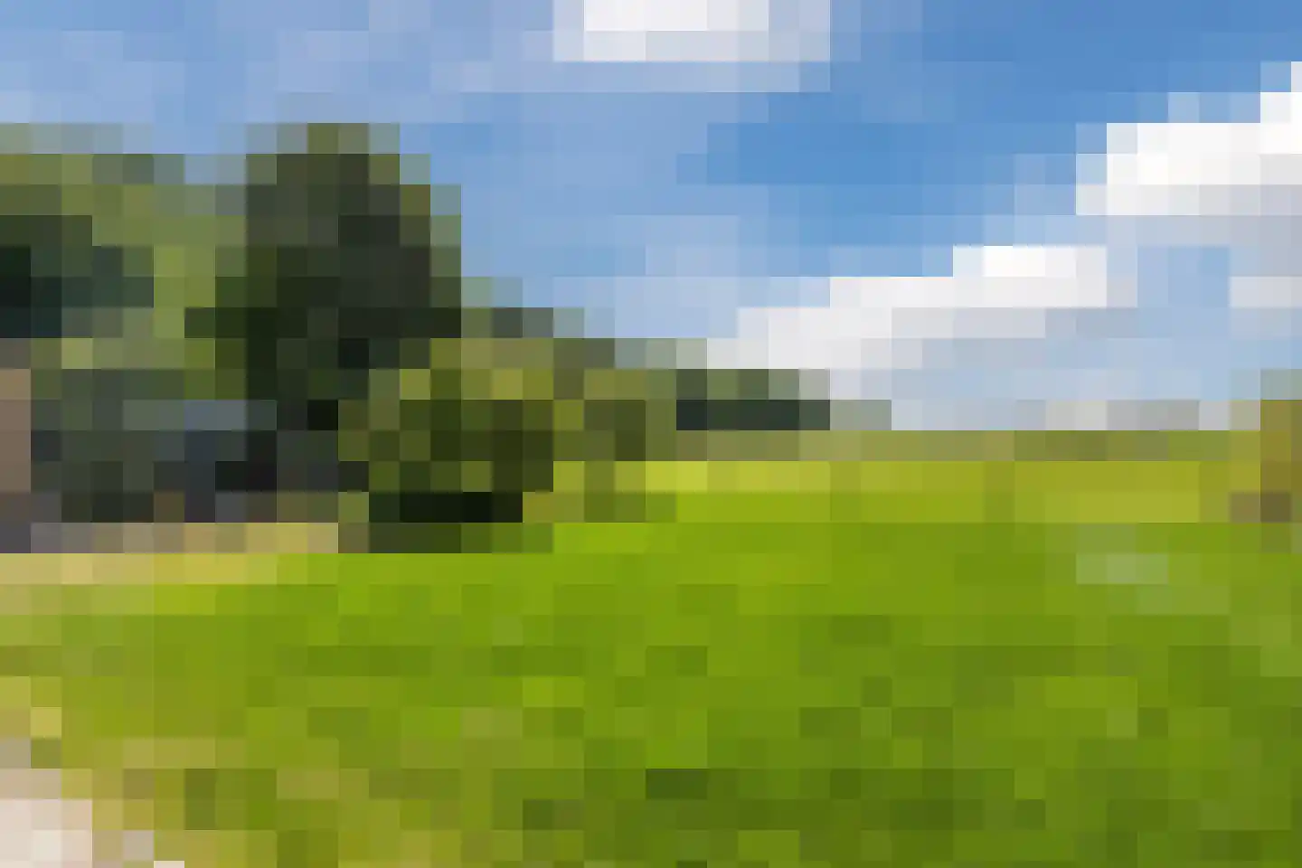 De Kamp 10 Tzummarum thumbnail 43