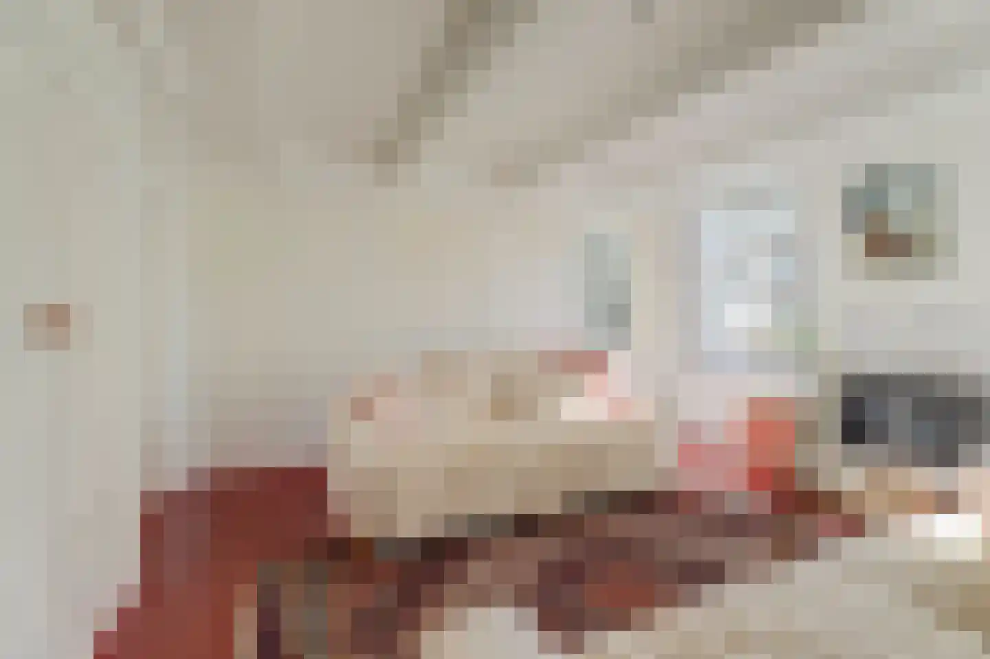 De Kamp 10 Woudsend thumbnail 10