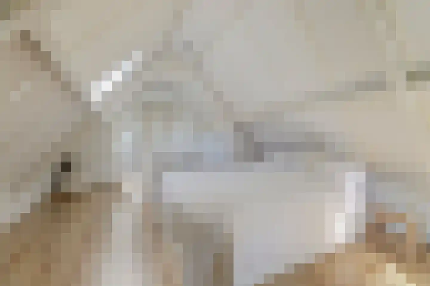 De Kamp 10 Woudsend thumbnail 23