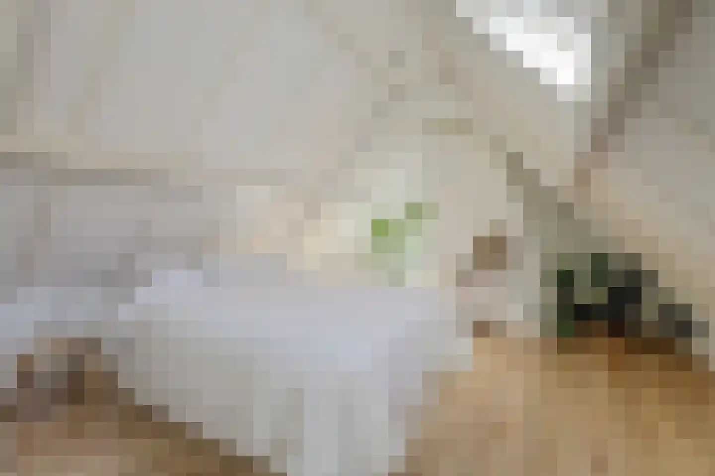 De Kamp 10 Woudsend thumbnail 24